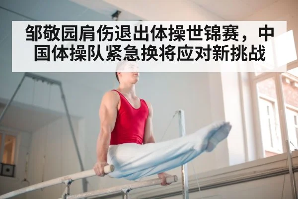 china gymnastics team