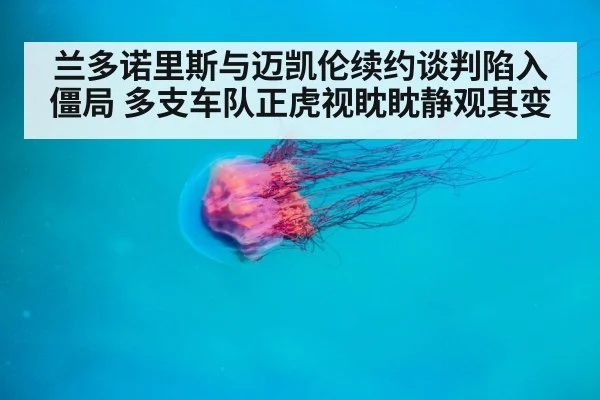 兰多诺里斯与迈凯伦续约谈判陷入僵局 多支车队正虎视眈眈静观其变